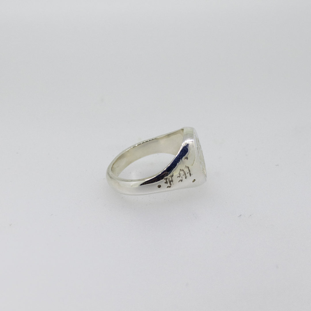 Sterling Silver Family Crest Signet Ring